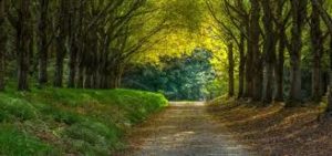 What are the importance of philosophy