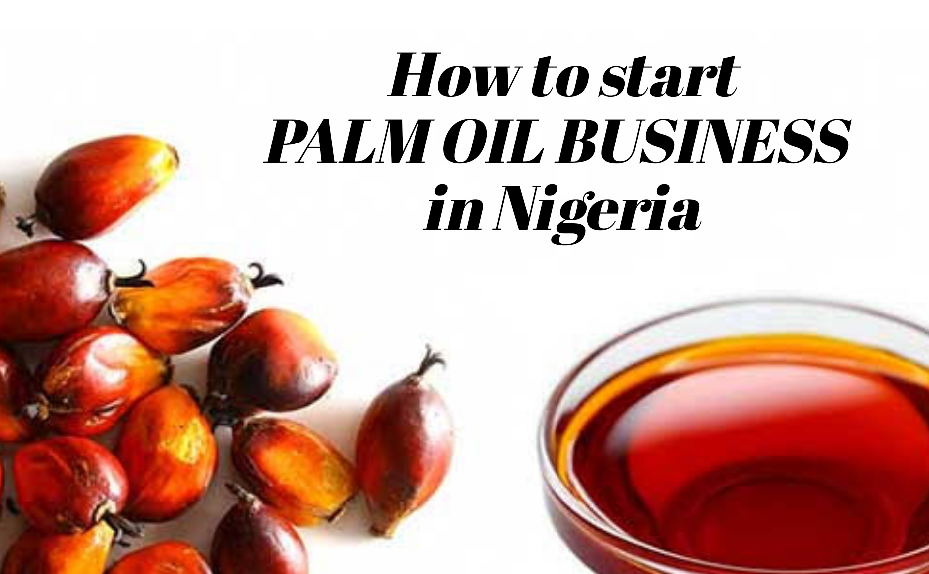 profitable-steps-to-starting-a-palm-oil-business-in-nigeria-step-by