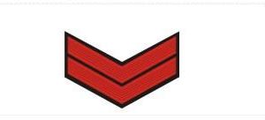 Nigeria police ranks and symbols