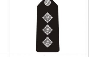 Deputy superintendent of police