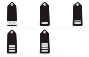 Nigeria Police Ranks and Symbols, Salary Structure