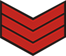 Nigeria police ranks and symbols