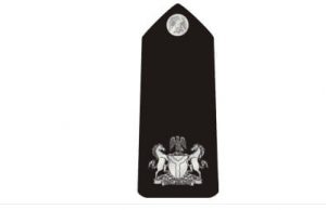 Nigeria police ranks and symbols