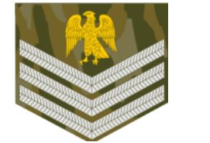 Nigerian Army Ranks, Salaries, Symbols, Logo & Badges (Updated).