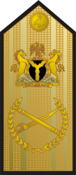 Admiral of the fleet