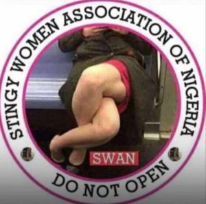 Member Stingy Women Association of Nigeria