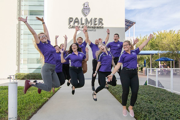 Palmer College of Chiropractic Scholarship 2022 , USA. - School Drillers