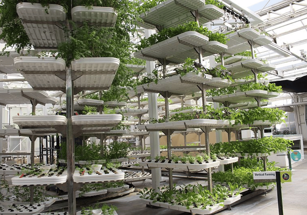 Top Vertical Farming Companies In America. Business Guides « School ...