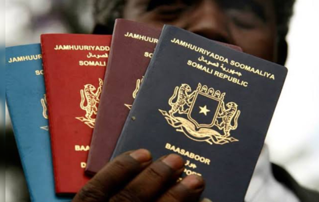 Top 10 Countries With The Strongest Passports In Africa - School Drillers