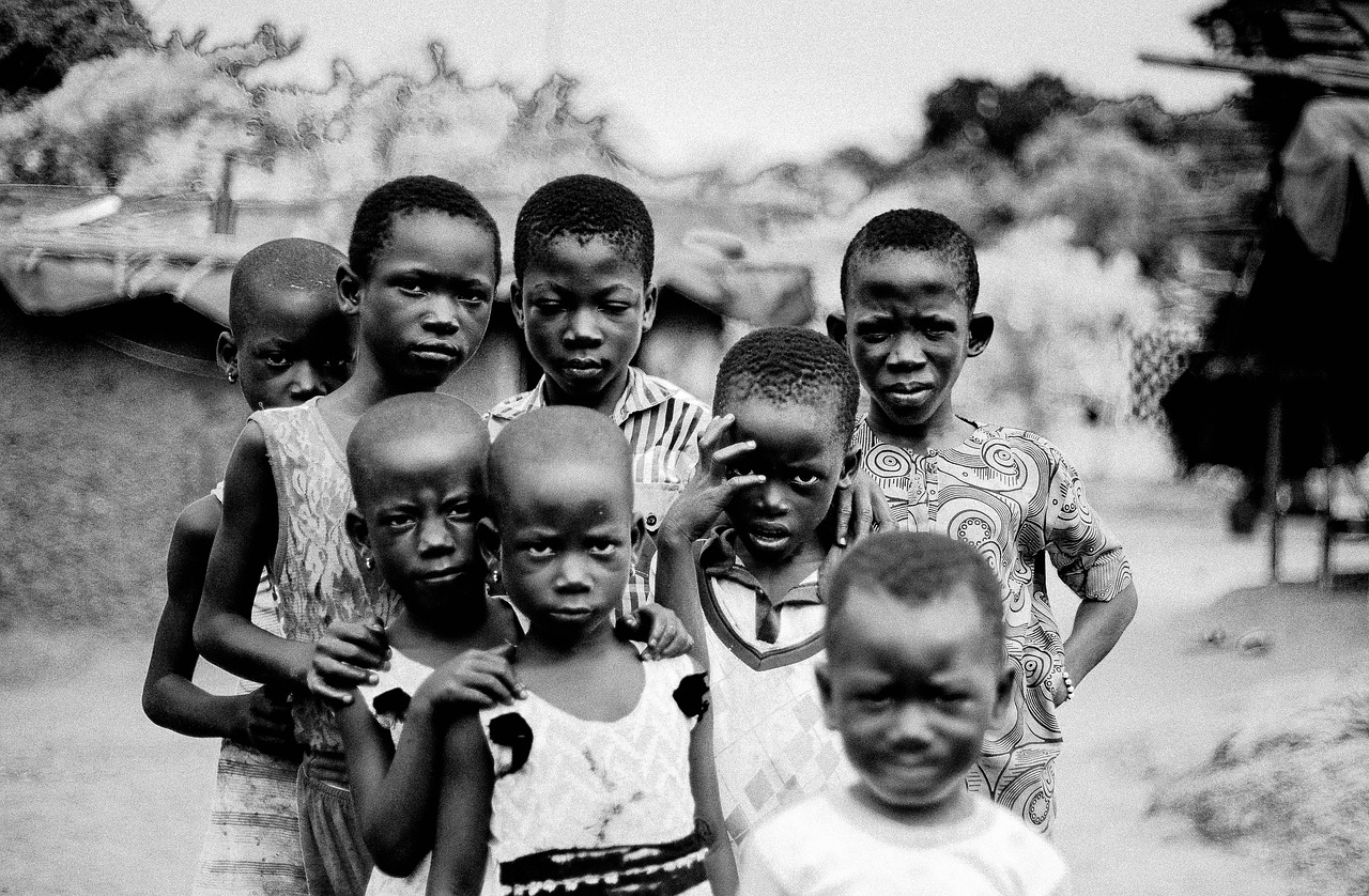 The nigerian democracy