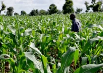What is agricultural science and the types