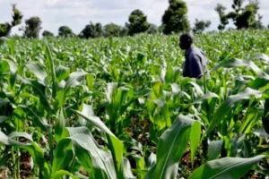 What is agricultural science and the types