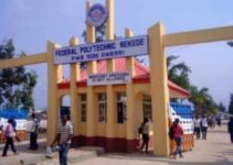 List of nigerian polytechnics that offers history and international studies